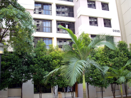 Jurong West Street 93 thumbnail photo